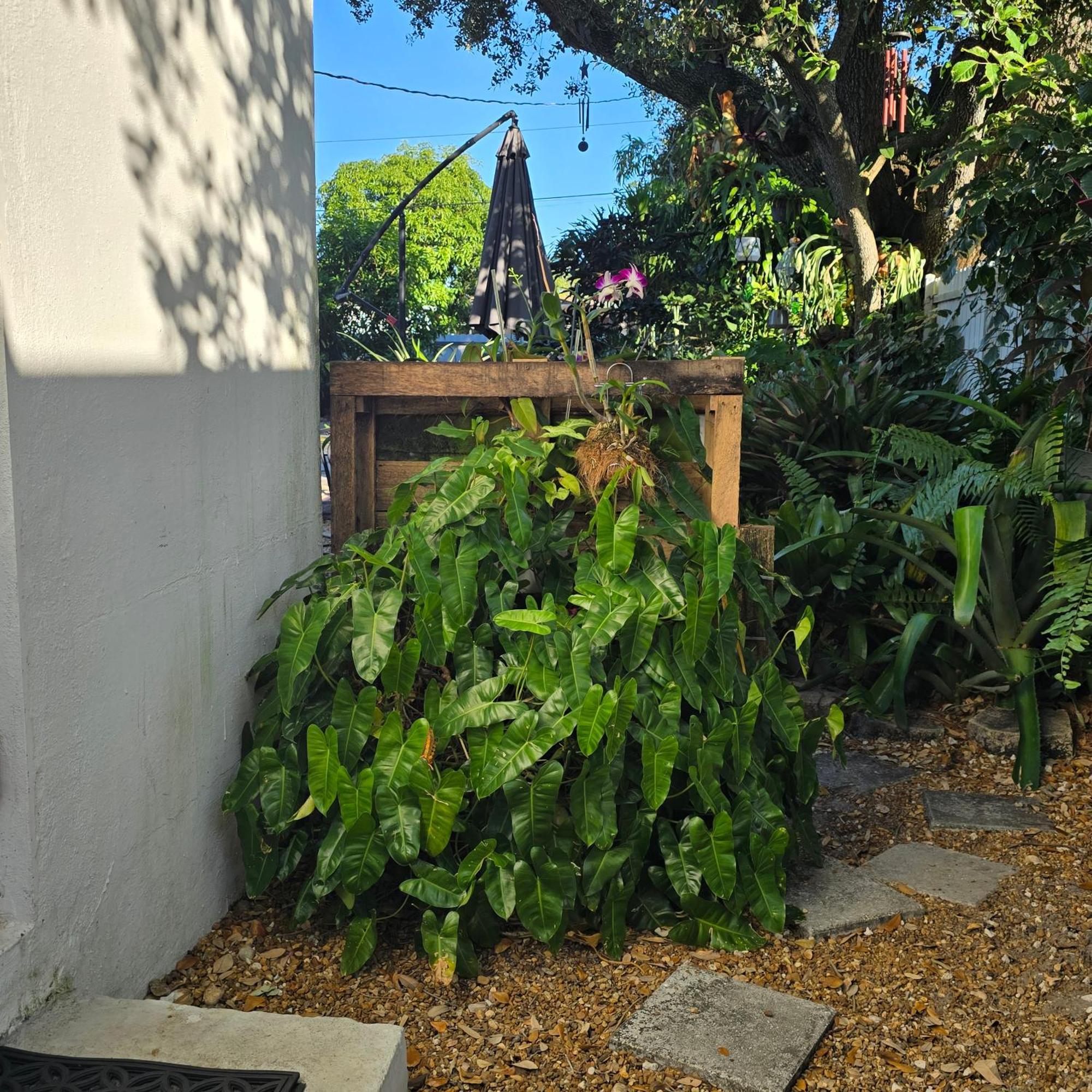 Suite Life At Chez Mercedes Miami Exterior foto