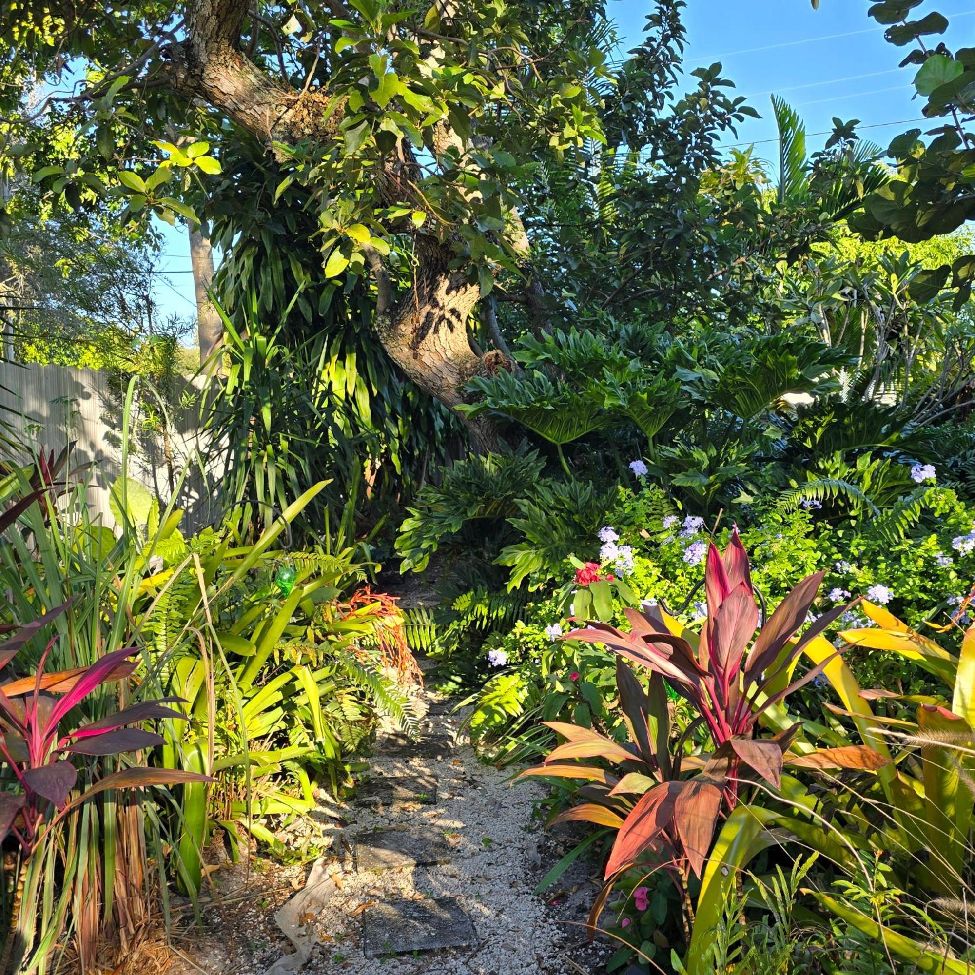 Suite Life At Chez Mercedes Miami Exterior foto