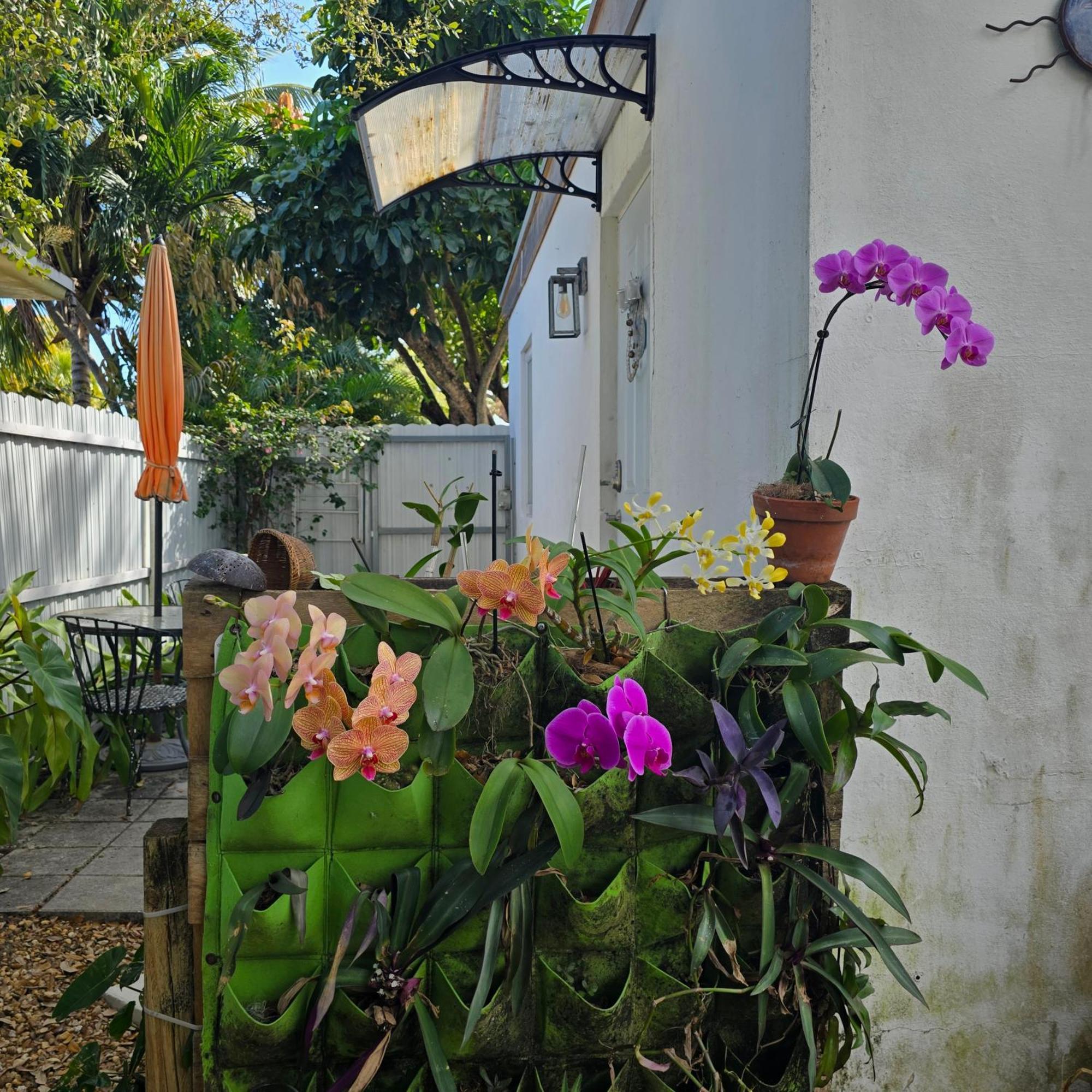 Suite Life At Chez Mercedes Miami Exterior foto
